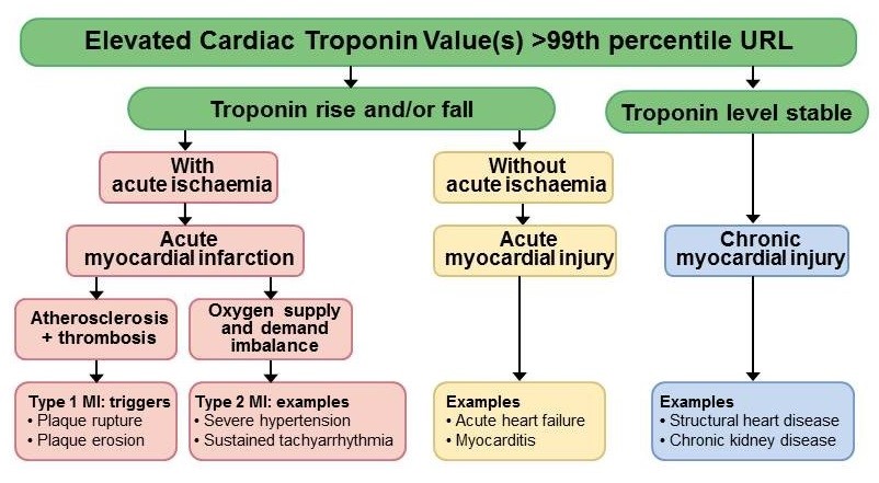 fourth-universal-definition-of-myocardial-infarction-what-s-new